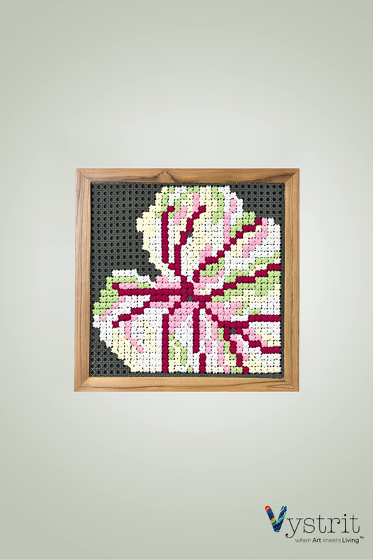 Candy Caladium 18 inch x 18 inch
