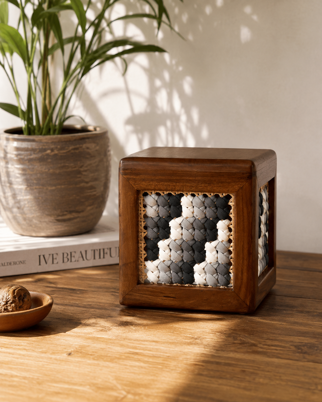 Echo Weave - Speaker Box